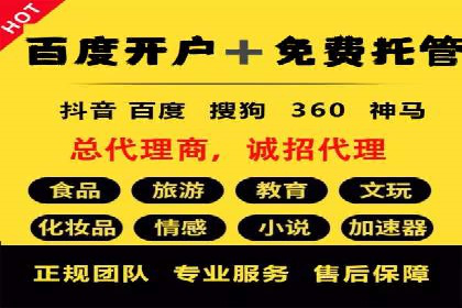 某大型企业选择SEM竞价代运营公司的决策过程与效果评估